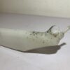 vase d'expansion suzuki gsxf 650 – Image 3