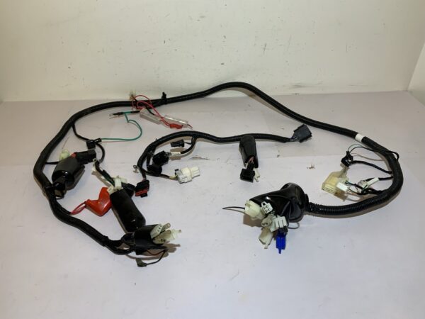 faisceau électrique orcal isca 50cc 4t