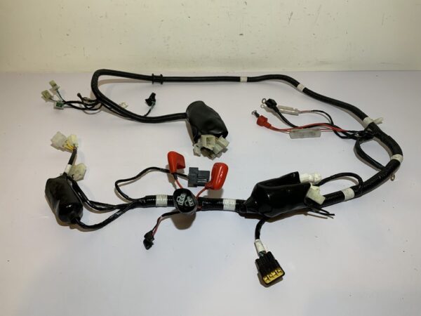 faisceau électrique tnt motor boston 4t