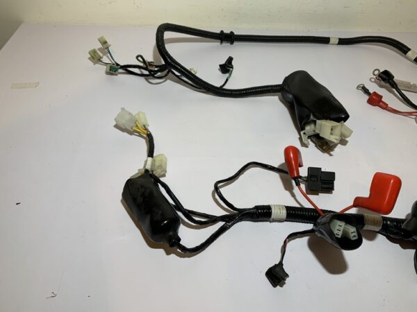 faisceau électrique tnt motor boston 4t – Image 2